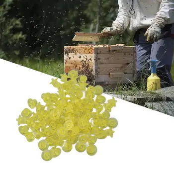 100TK Queen Bee Kasvatamine Cup Plastikust Ergas Värv Mesindus Mesilaste Kärje Cup Mesinik Seadmed Mesilased Vahendid